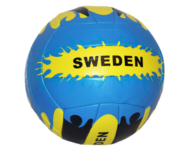 Volleyboll Sweden